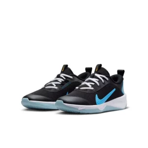 Nike Omni Multi-Court